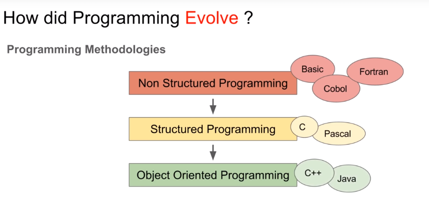 programming evolution